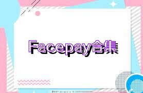 Facepay合集