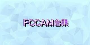 FCCAM合集