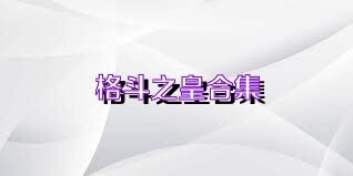 格斗之皇合集