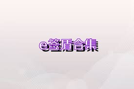 e签盾合集