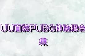 UU直装PUBG体验服合集