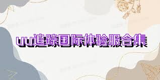 uu追踪国际体验服合集