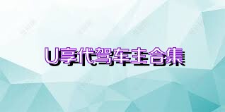 U享代驾车主合集