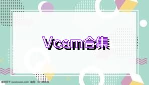 Vcam合集