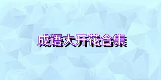 成语大开花合集