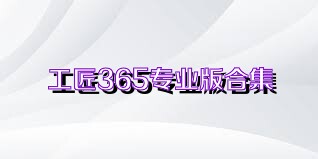 工匠365专业版合集