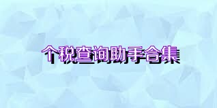 个税查询助手合集