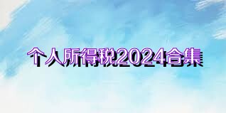 个人所得税2024合集