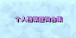 个人档案查询合集