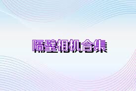 隔壁相机合集