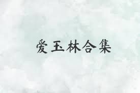 爱玉林合集