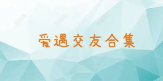 爱遇交友合集
