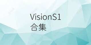 VisionS1合集