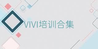 VIVI培训合集