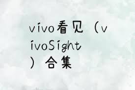 vivo看见（vivoSight）合集