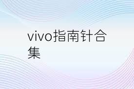 vivo指南针合集