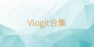 Vlogit合集